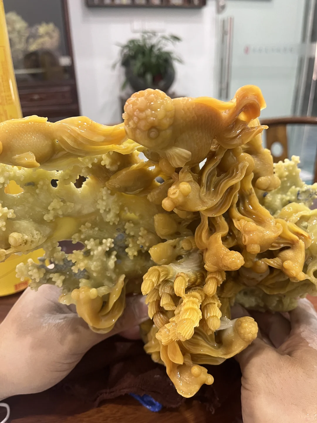 你要的我都有😤