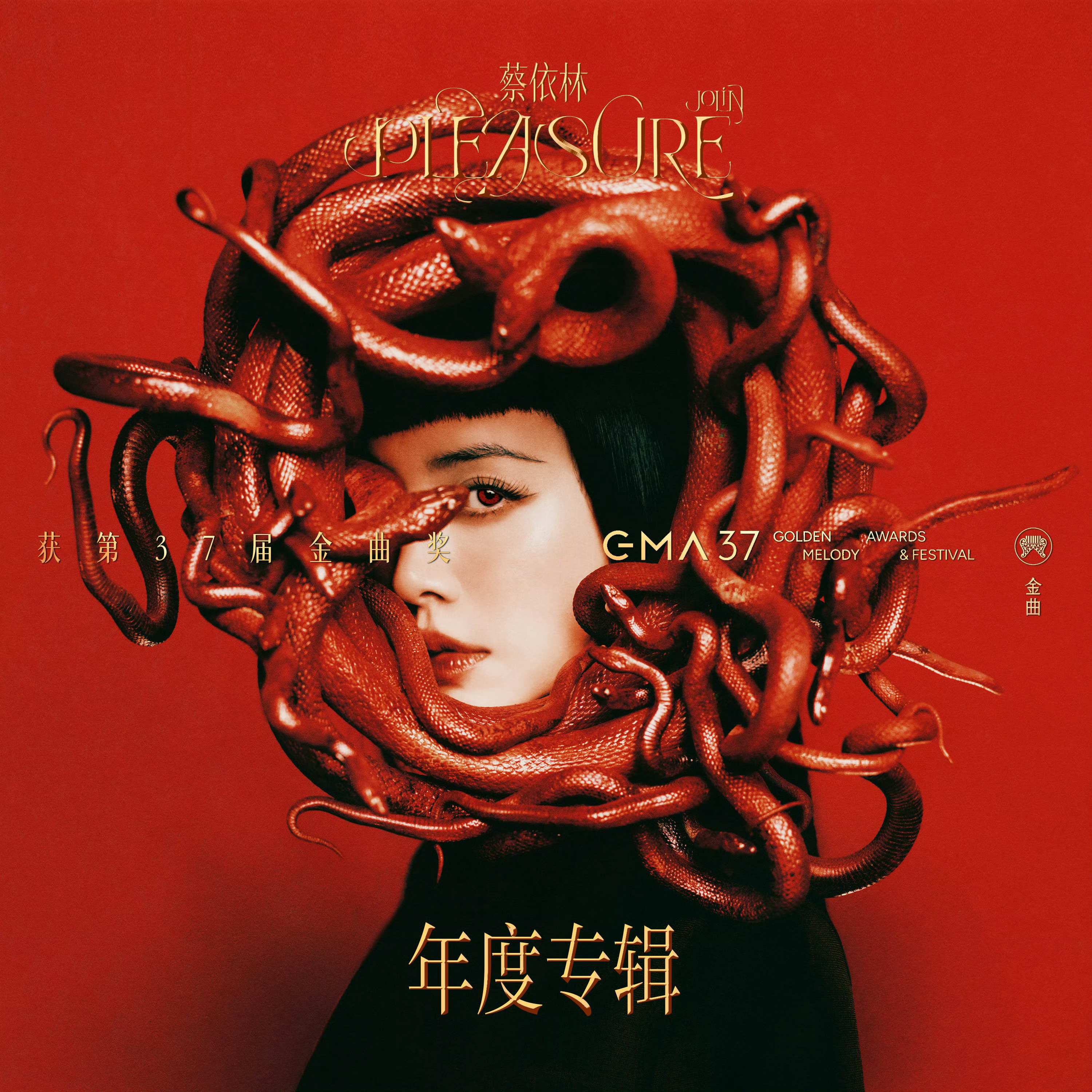 金曲奖年度专辑奖：蔡依林 《Pleasure》 🏆蔡依林封后