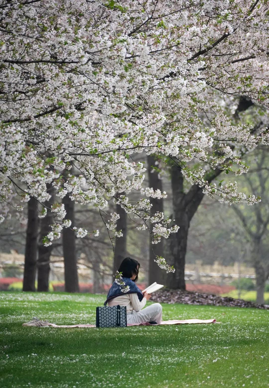 高敏感的人6个特点：

1. 别人一句无心话，会在心里反复琢磨很久；

2. 很