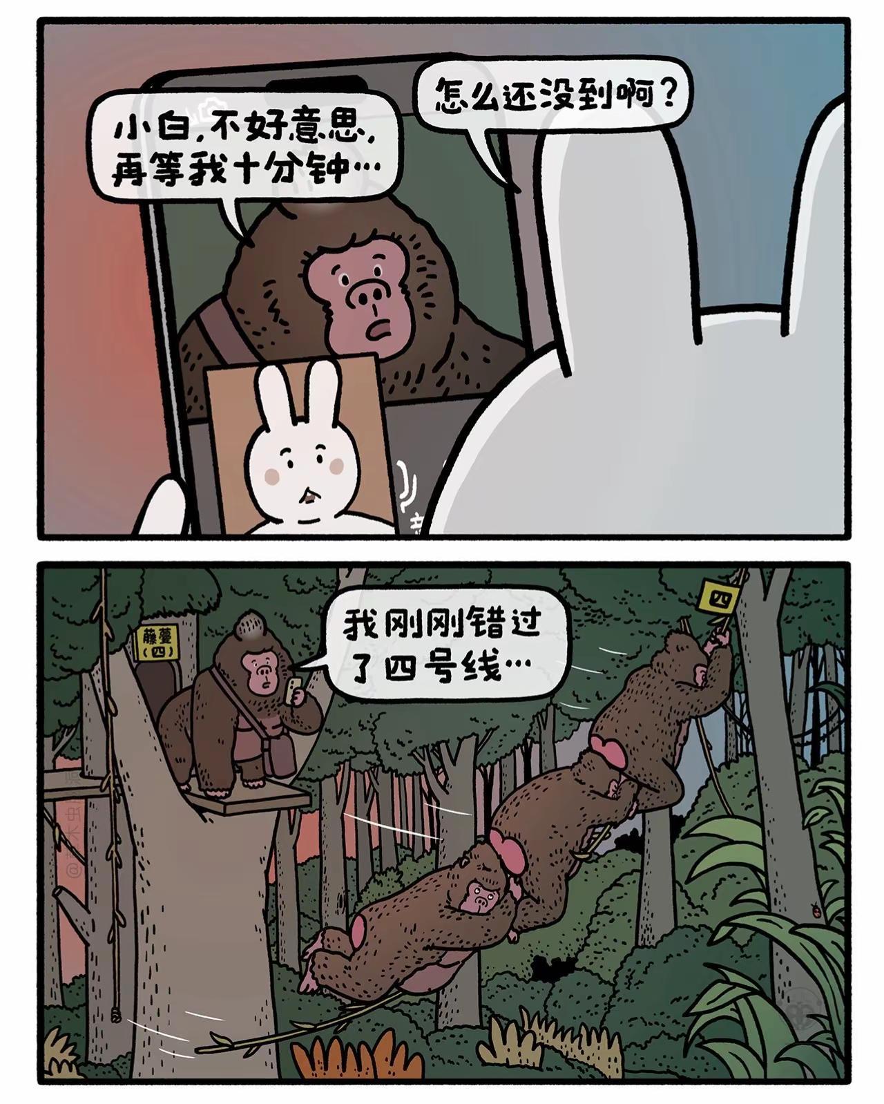 猩猩的朋友们。嫦娥打工兔 猩猩小合辑之二 我在看漫画