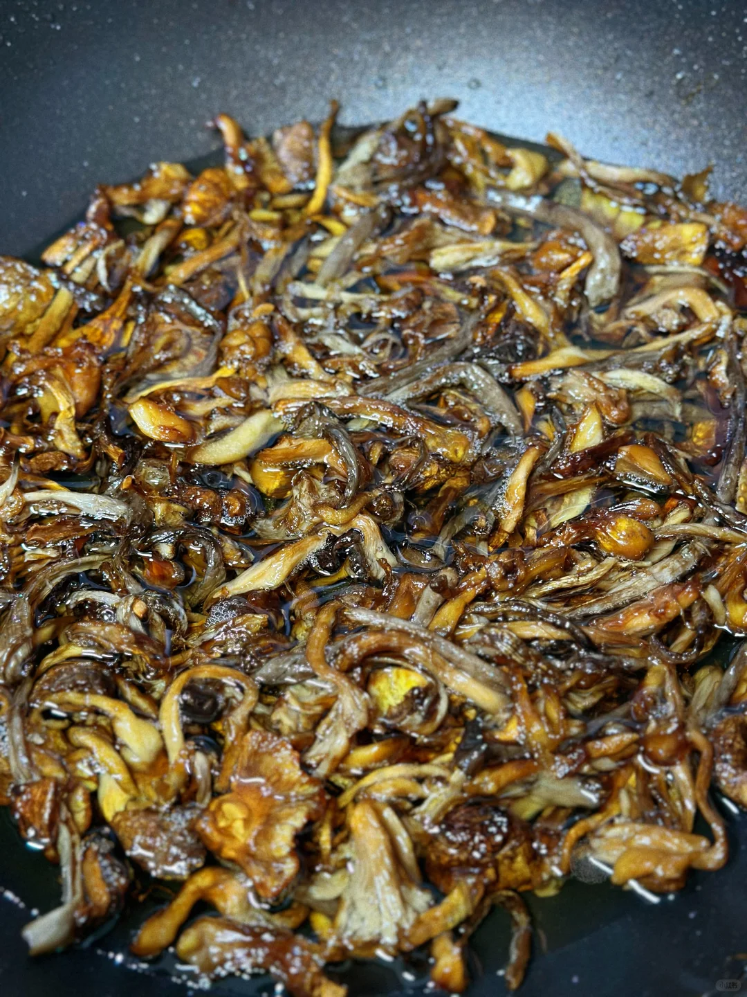 菌子油家庭版