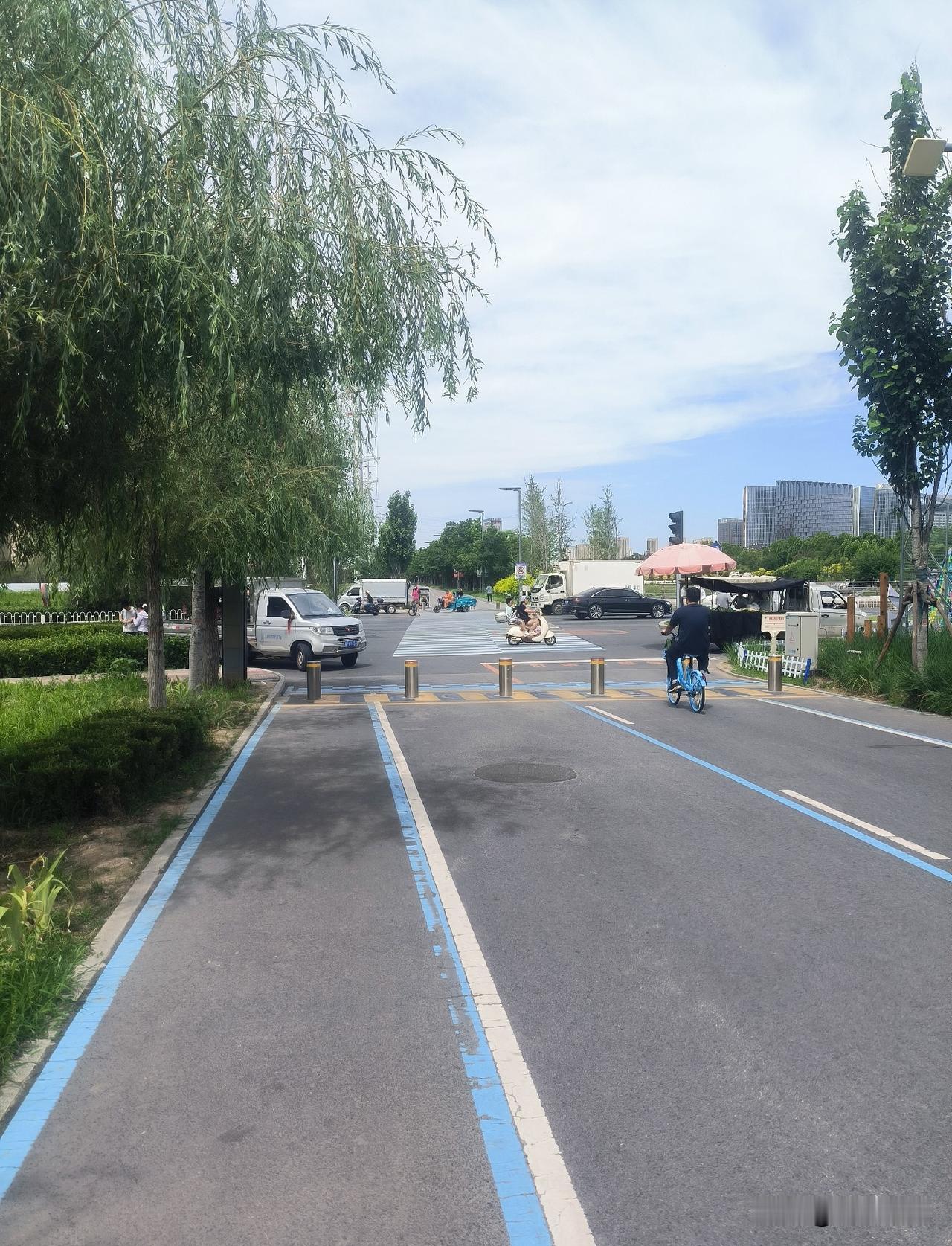 保定北堤路偶遇荷花摊主！去年红阳大街就见过他

又到一年荷花季，
这不？保定北堤
