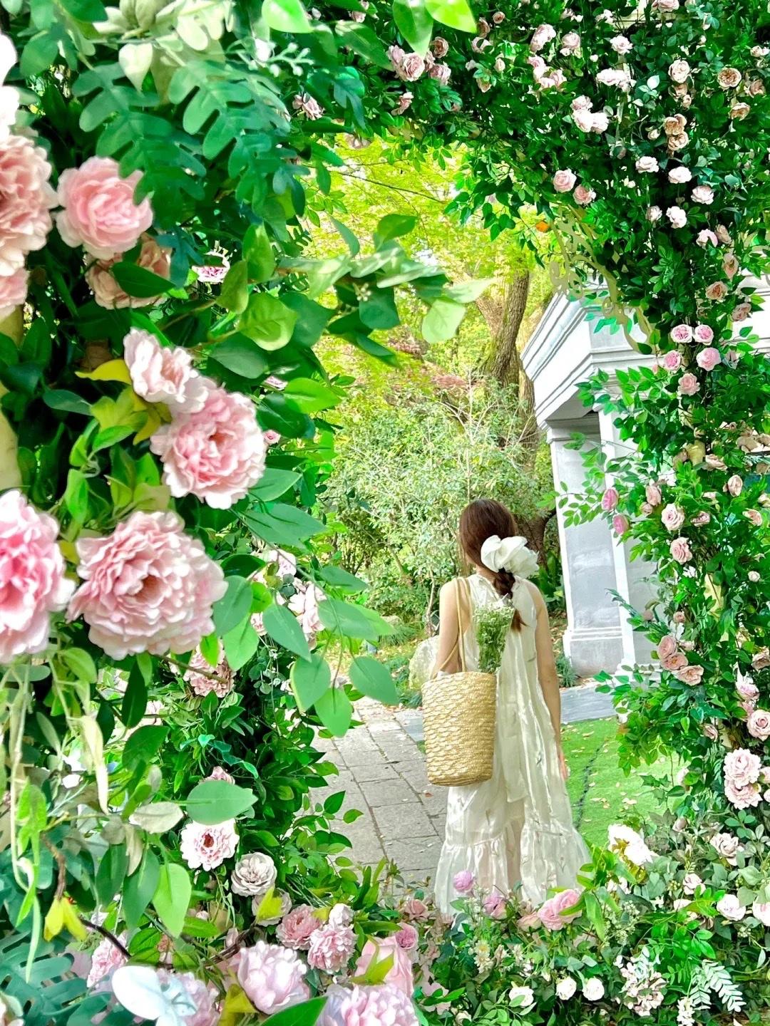 天仙子 · 春天

草绿窗前蜂蝶舞。
水色空濛新叶吐。
家山处处燕莺声，
呢喃赋