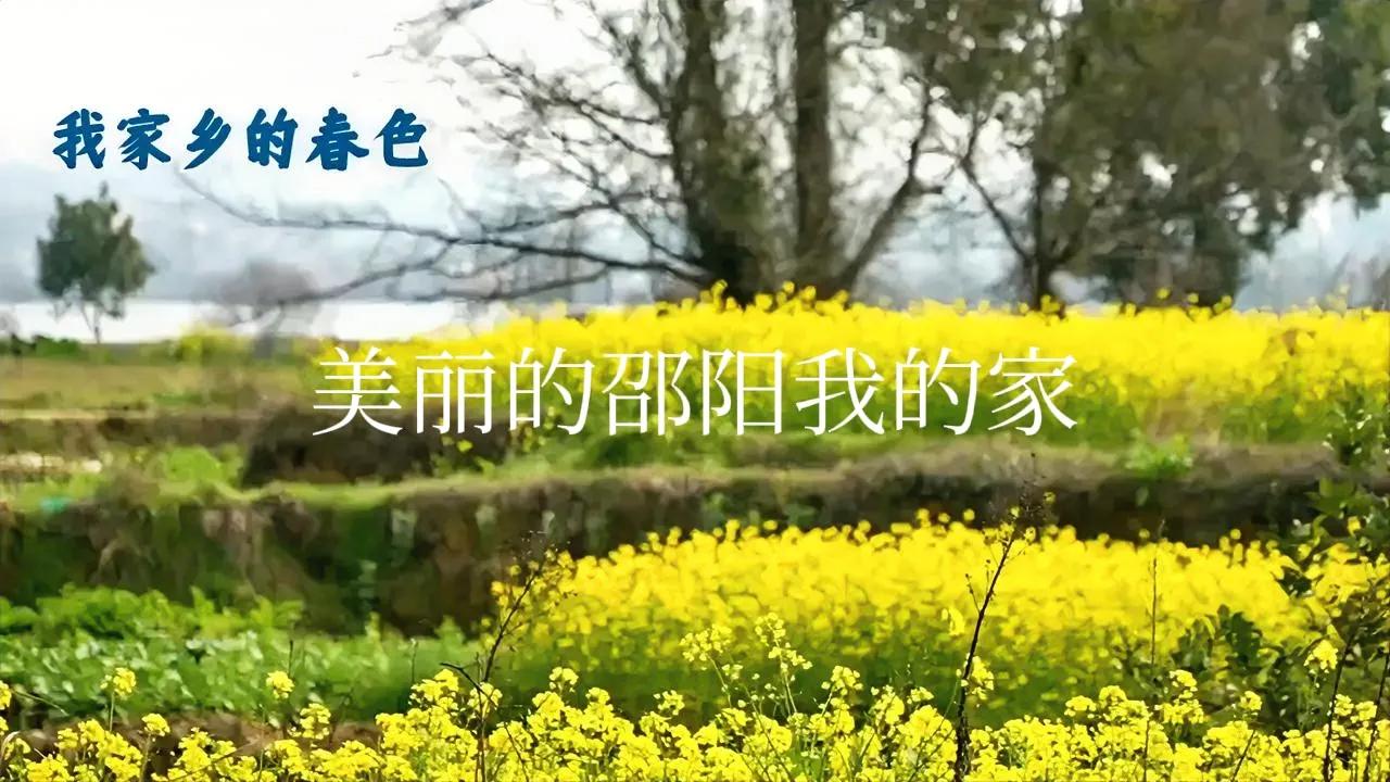 一张图晒我家的春色