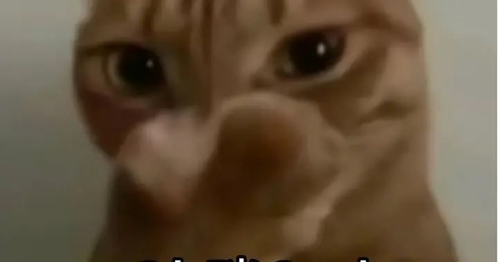 AI Coding最貴300人：2年2050億估值，剛又被塞了160億