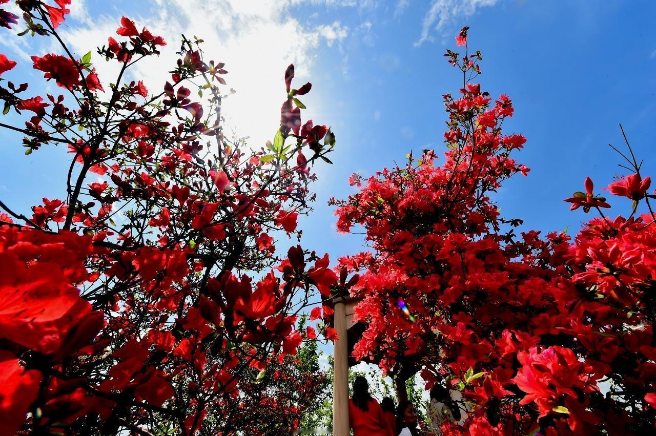 站桩要进入状态
    站桩锻炼对身体健康的帮助不言而喻，我们站桩的时候要进入状