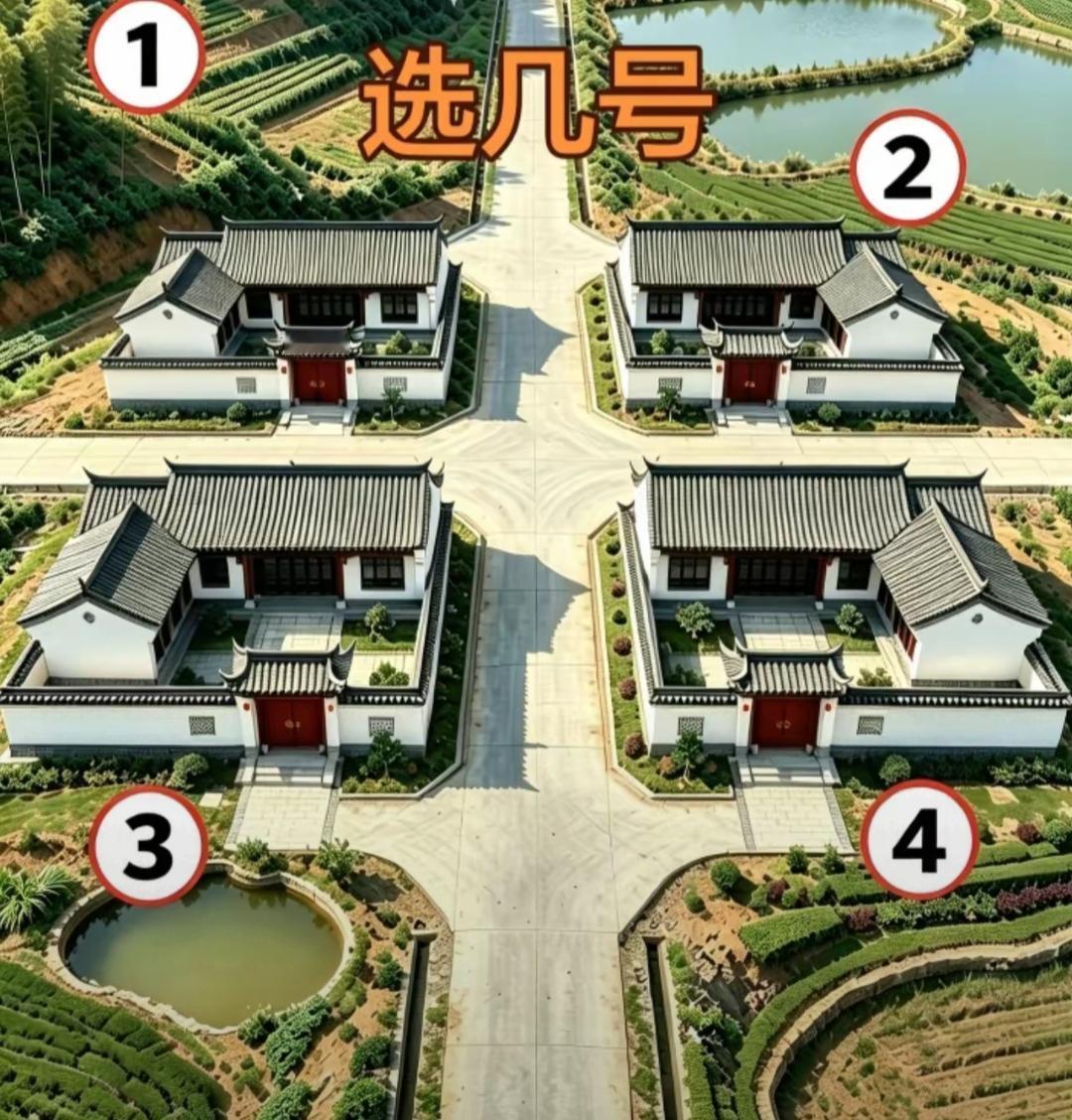 这图显示了几栋对称的乡村别墅。1234号如果给你一套房，你会选几号？我相信70%