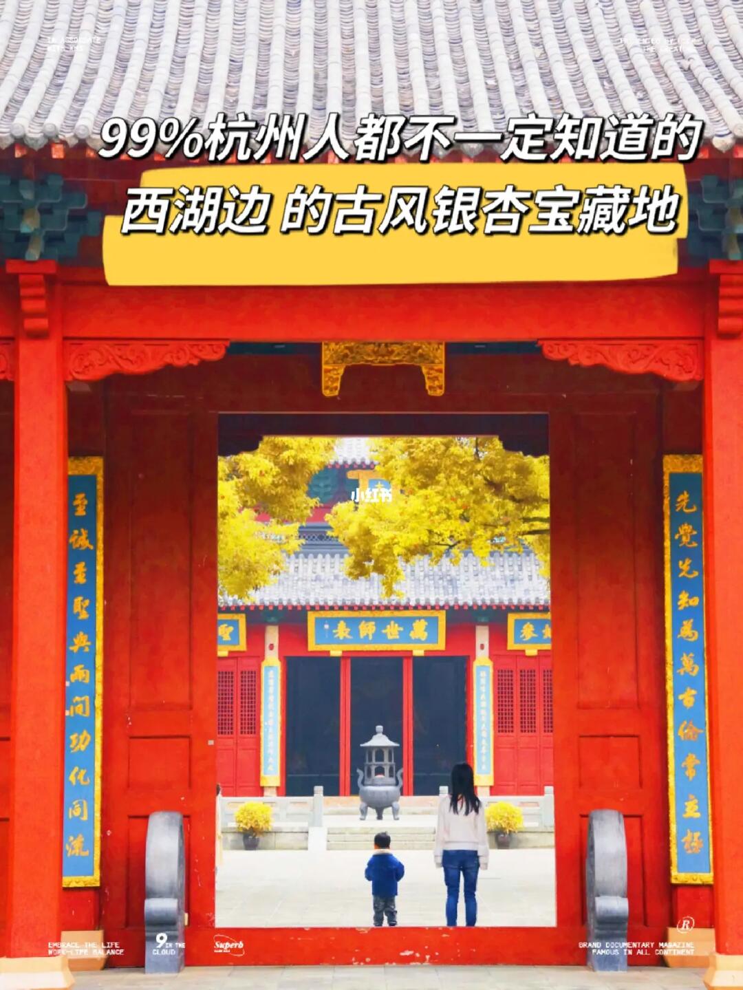 被红墙银杏惊艳到！我愿称为古风银杏天花板