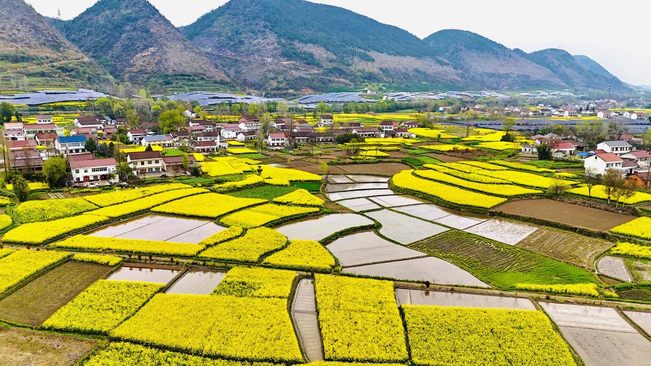 皇塘太堵，去阳春去高台去新集，去陶渊明的诗里和不算远的远方！