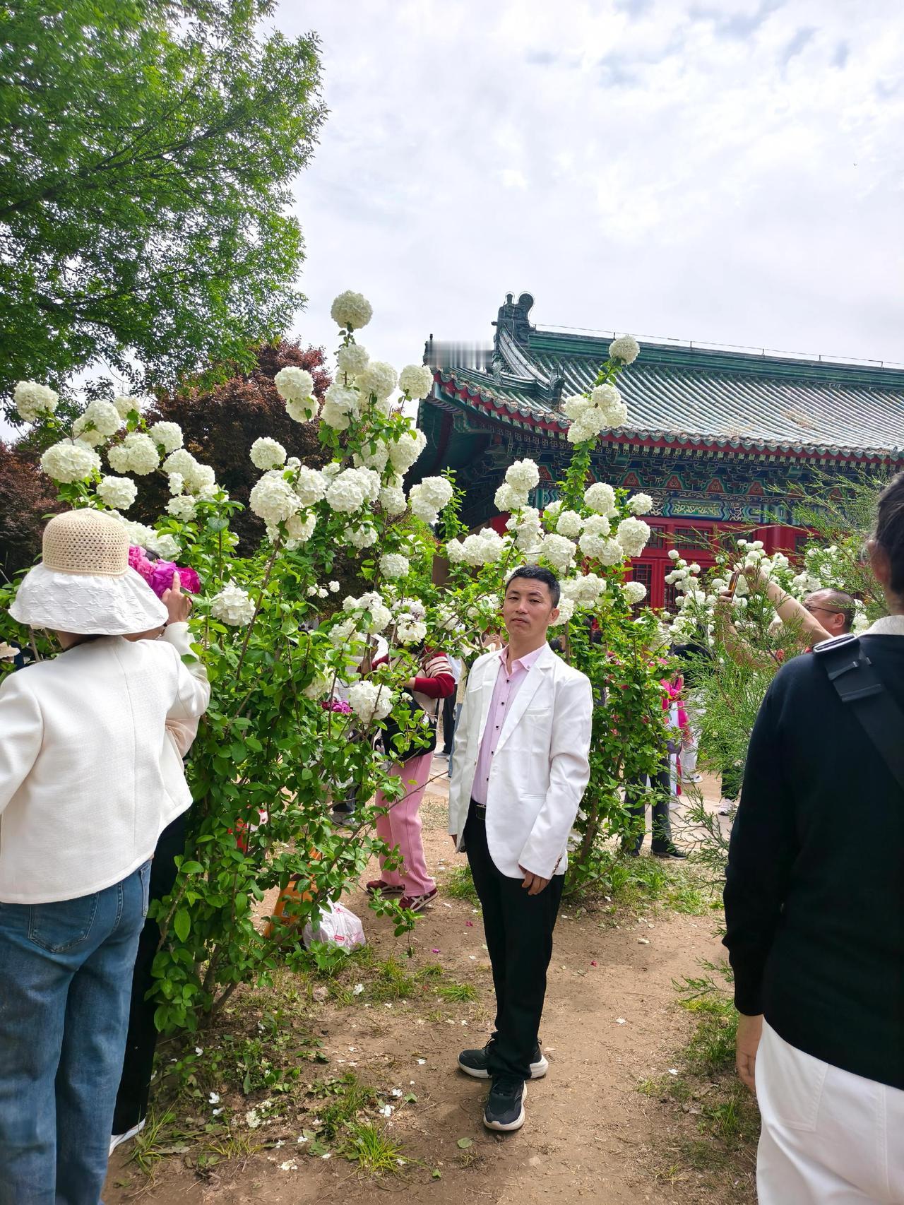 曹州牡丹园游赏