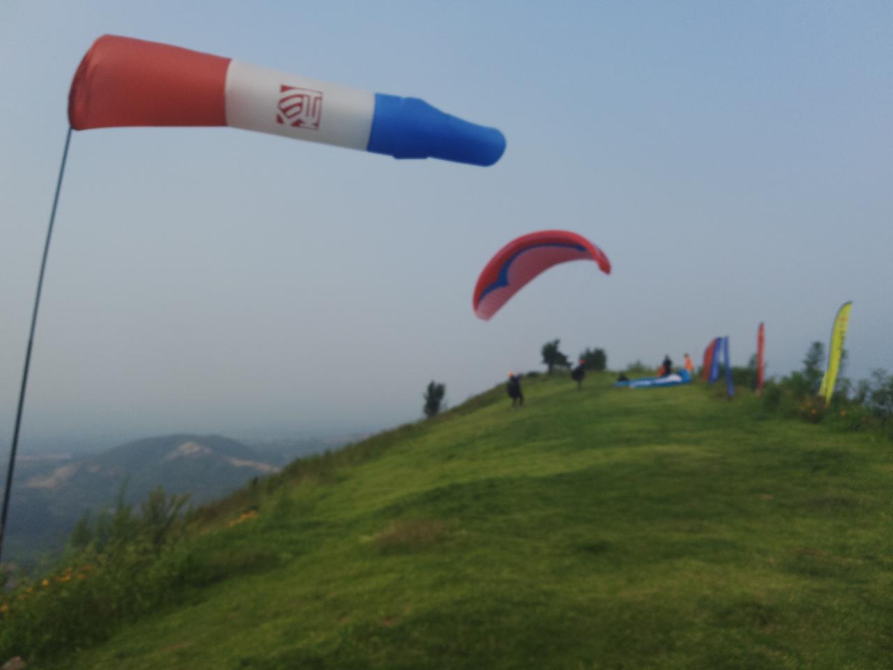 春日生活打卡季风一吹，心就软成一整个春天。不必匆忙，不必追赶，在这温柔的春光里，