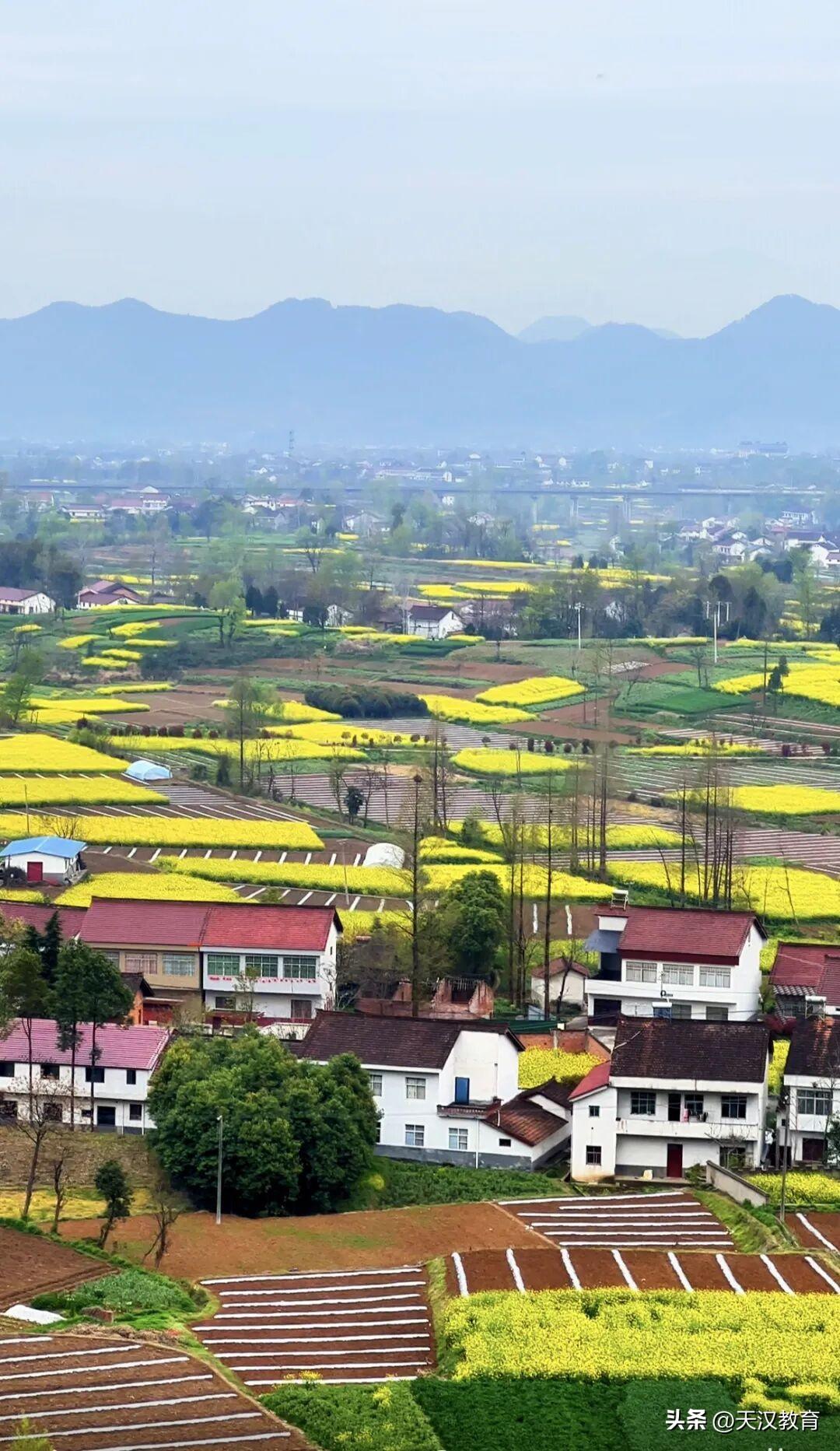 藏不住了！汉中南郑鹤腾岩的春日全景，每一帧都封神
站在南郑区高台镇鹤腾岩的山巅向
