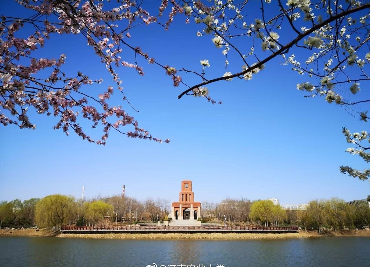 海河之畔，学府铿锵；
工大风华，岁月流芳。
承工学初心，深耕百年育人沃土；
担强