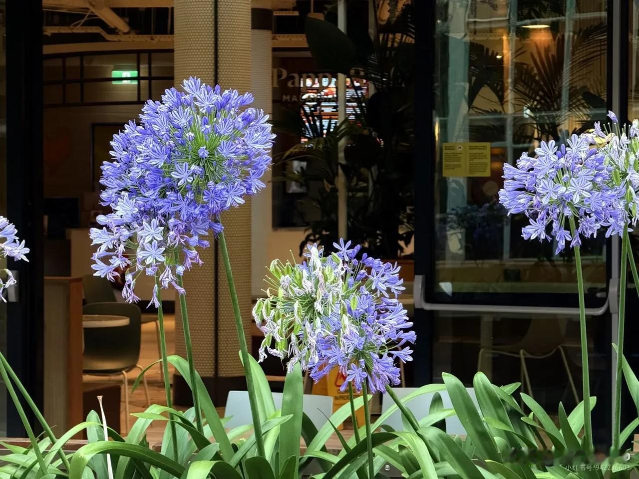 女人有娃后，
属于自己的时间真是少得可怜，就拿今晚洗完澡来说。

本来计划躺在床