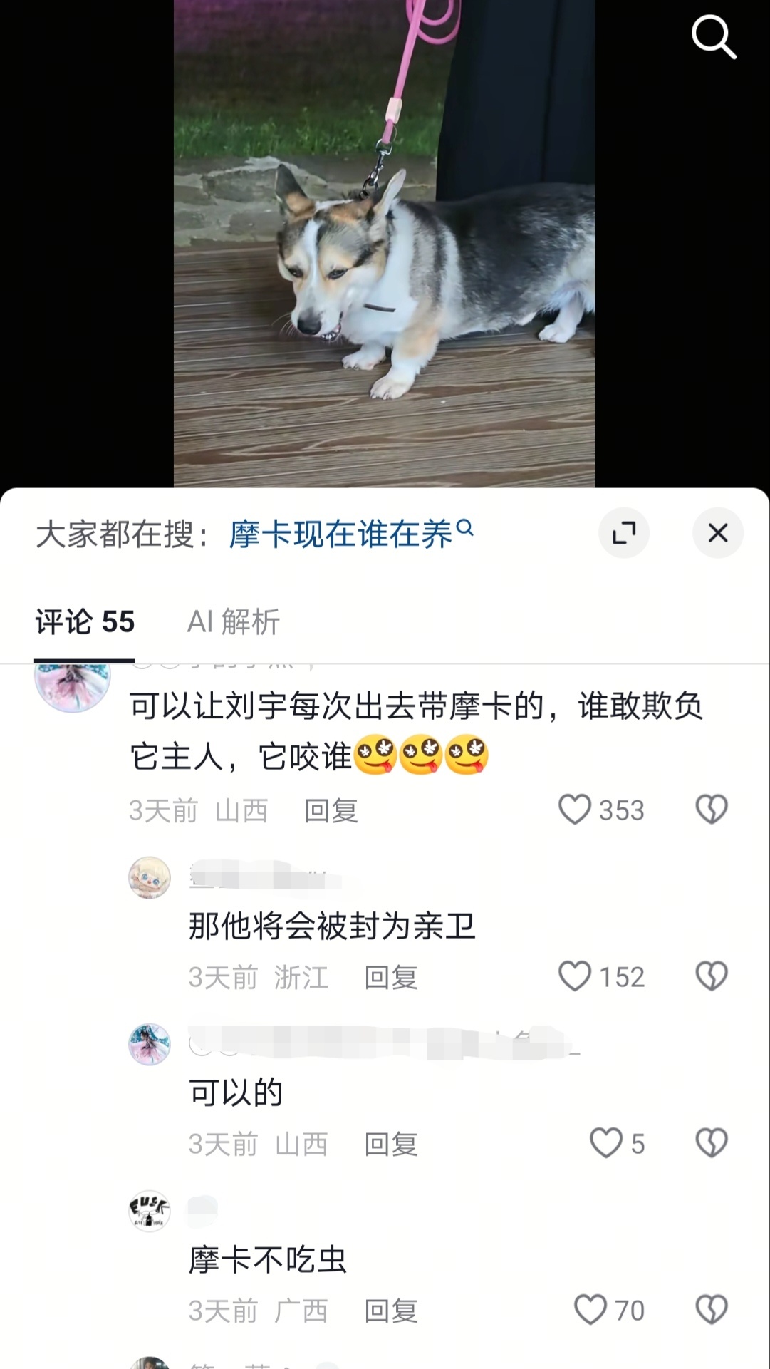 哈哈哈哈哈哈懂你意思