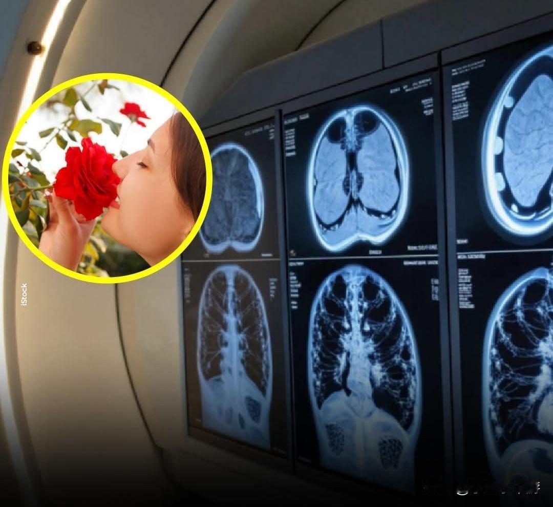 京都大学和筑波大学的一项研究显示，连续一个月每天闻玫瑰香气，能够增加28名女性大