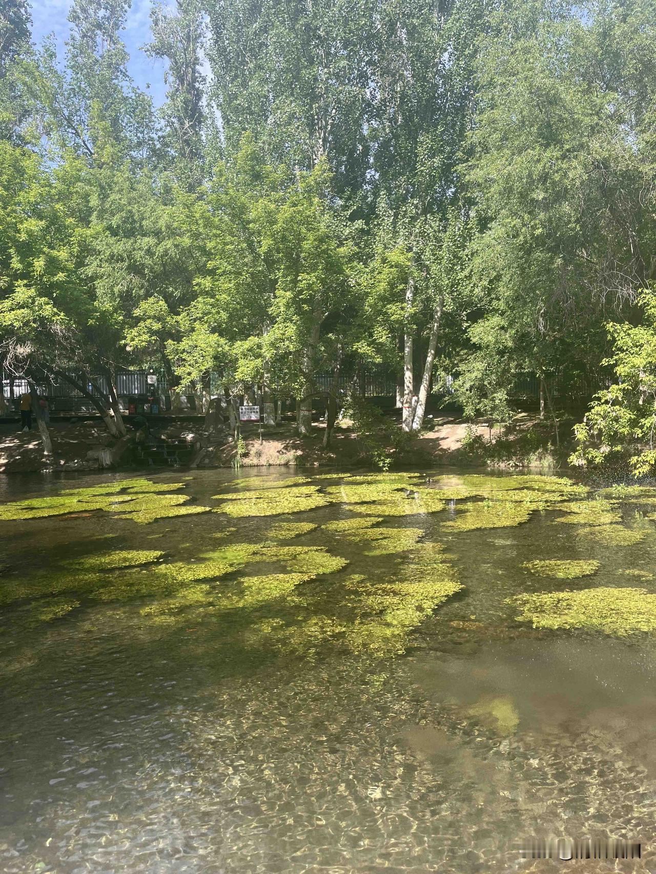独坐窗前，看风景在四季里变幻着缤纷的色彩，岁月在无声无息间流淌，耳畔是传来一首喜