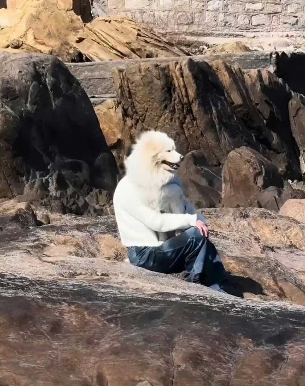 一些搞笑的错位图你能分得清吗 ​​​