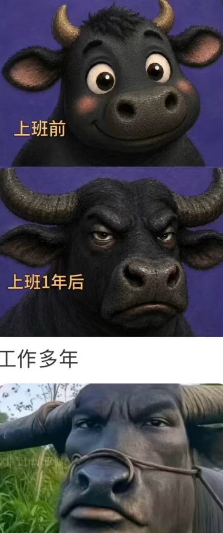哈哈哈哈哈哈哈哈，一旦有了人样就有苦相了