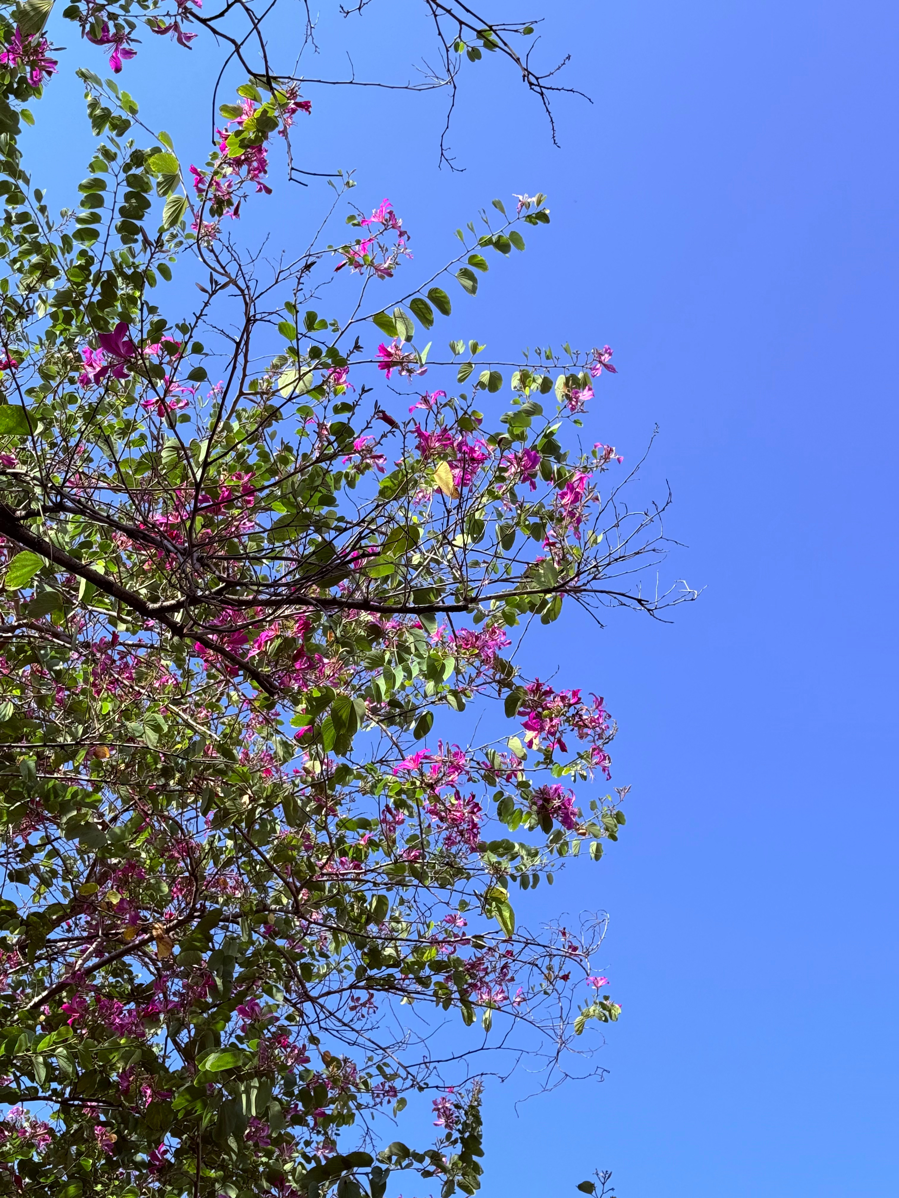 厦门今天的天气太舒服了，28度 