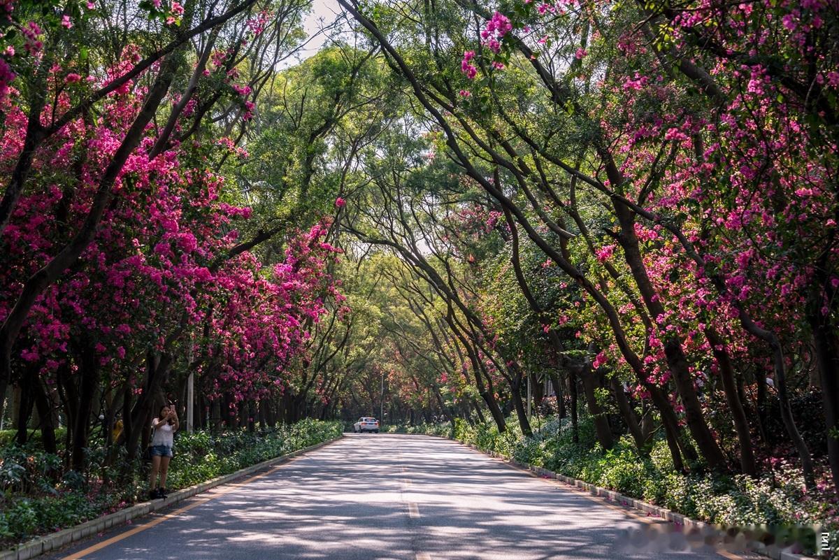 杨老师，我想扩大经营规模，是成立分公司还是子公司？需要根据自己的经营特点进行考量