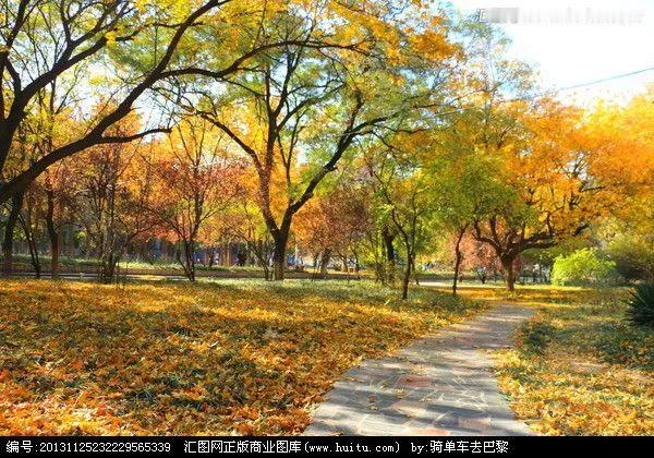 朋友们早上好，
岁月匆匆，时光流逝，
一切事物都在变化，

谁都留不住，
也无能