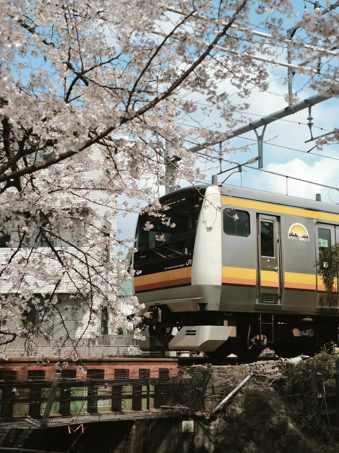 “穿过春天的电车”