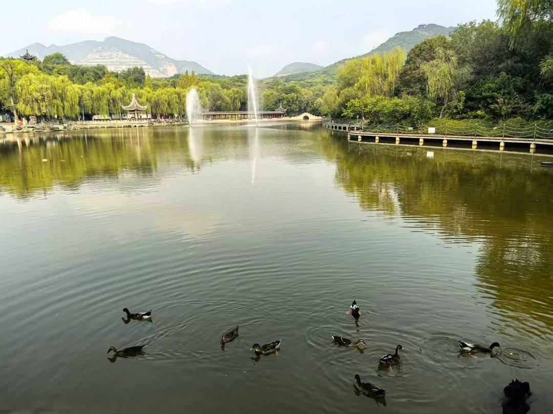 八点就到公园爬山了，在门口给孩子骑了一个马。小诺穿了一身紫色，孩子说：“诺姨，第