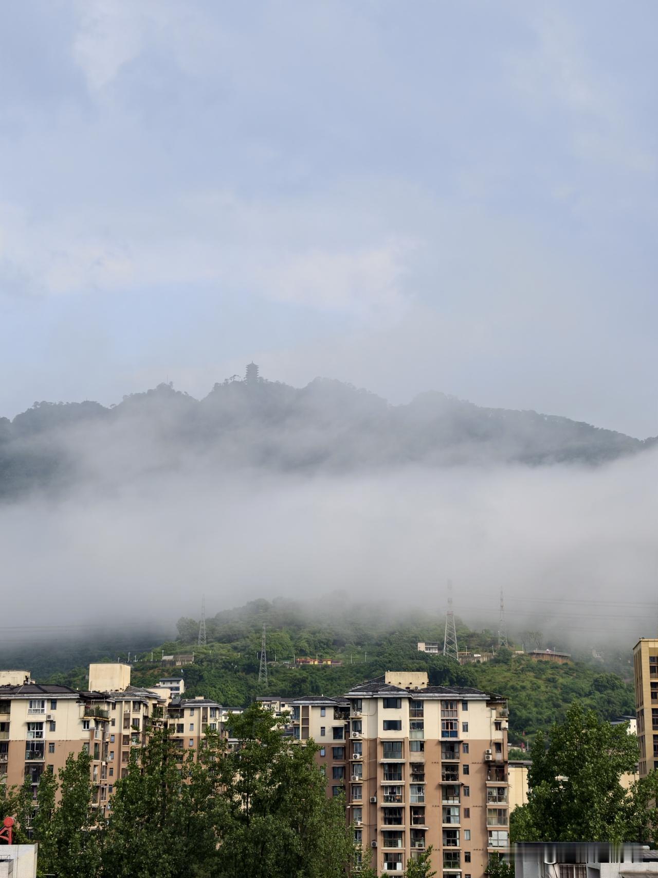 云雾缭绕的缙云山，山脚的北碚城是重庆后花园！