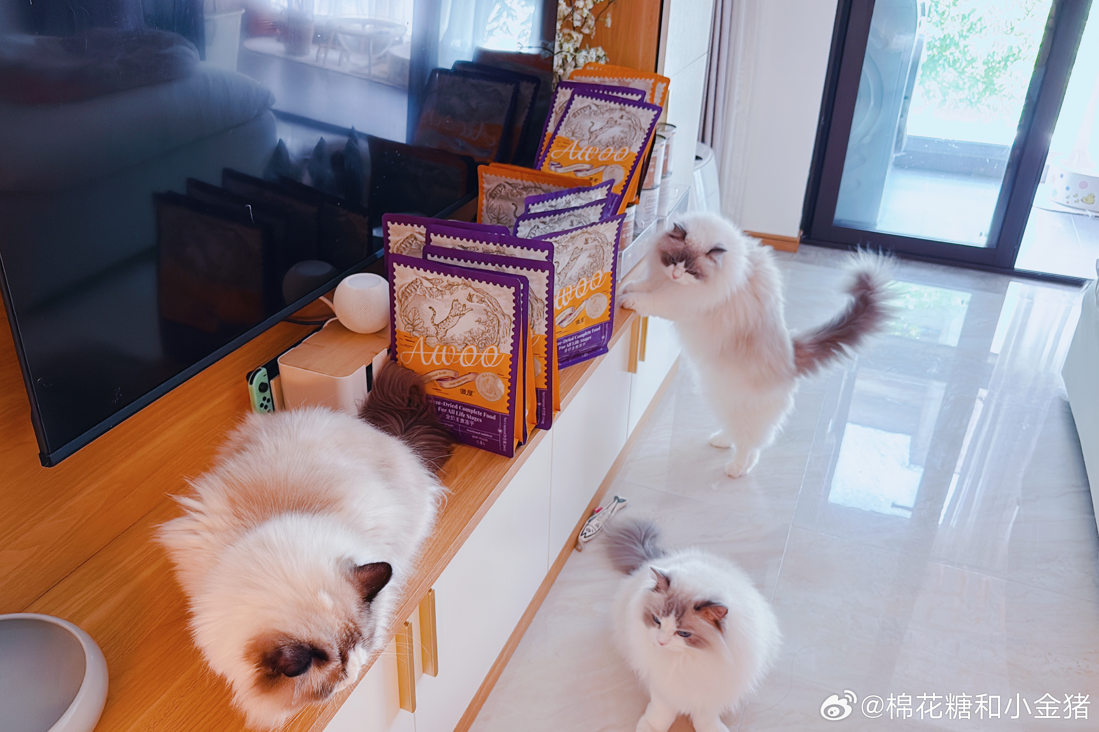我感觉有个反派要开仓放粮了。 