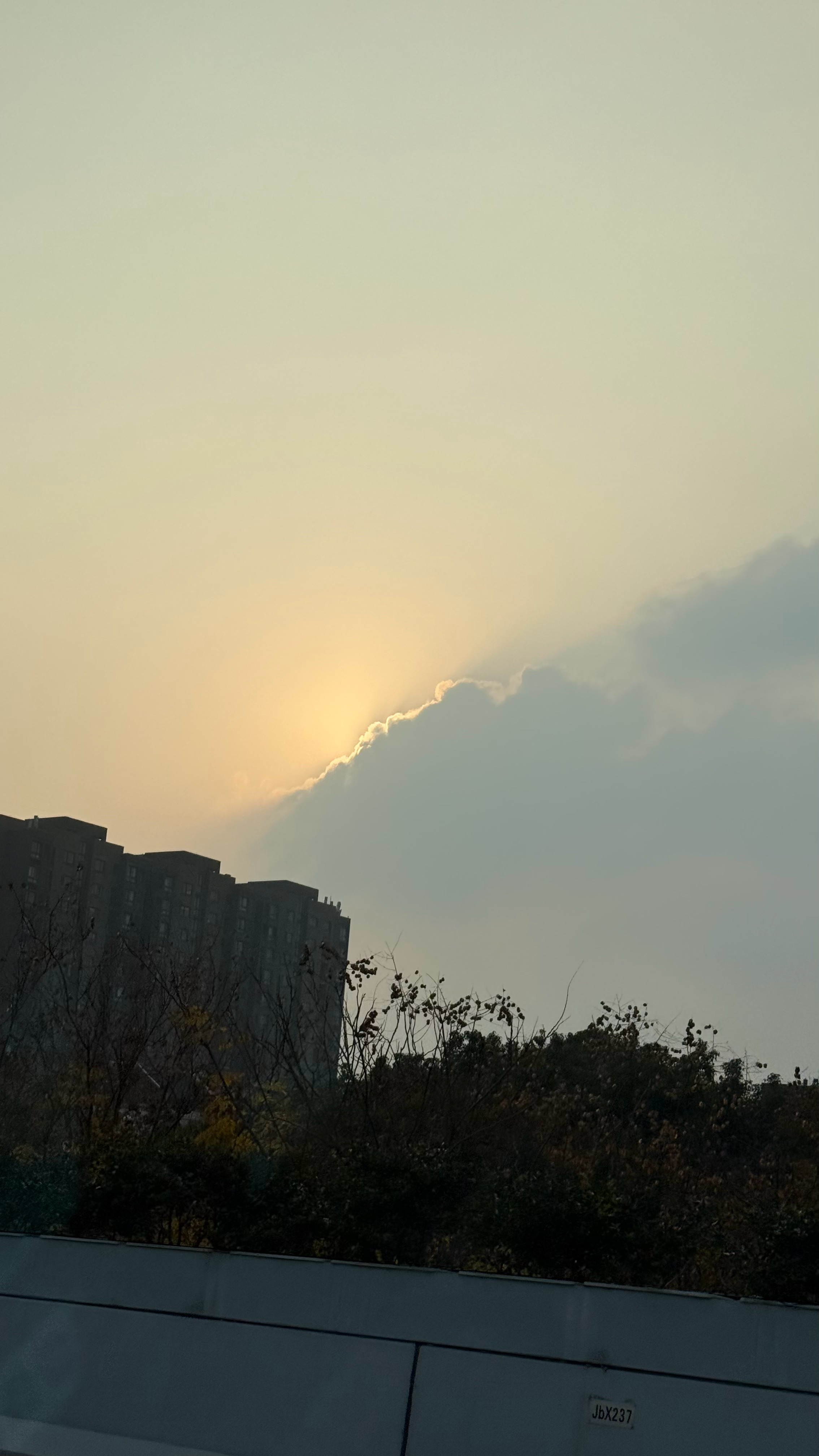 达利园报应 宁波