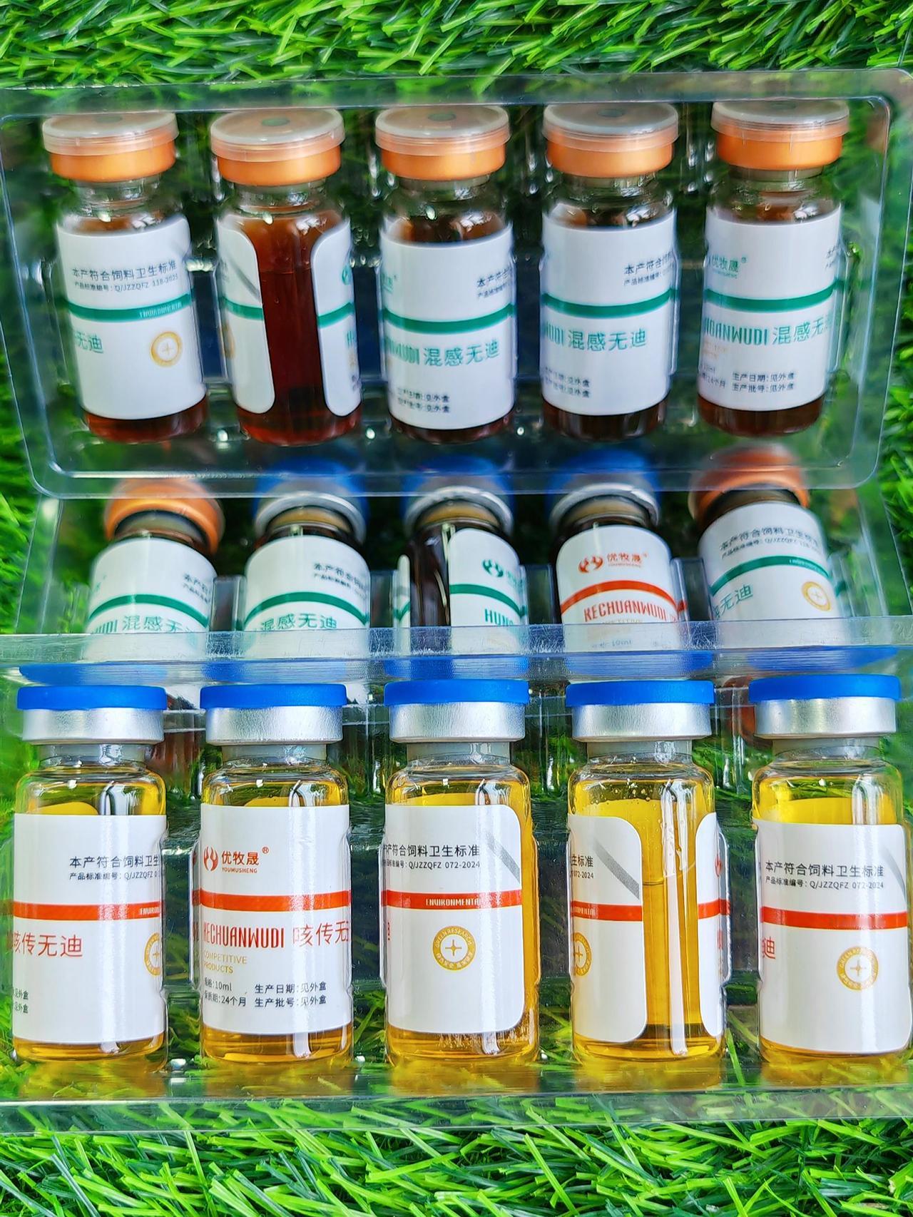 养羊人 农村养羊 牛羊养殖