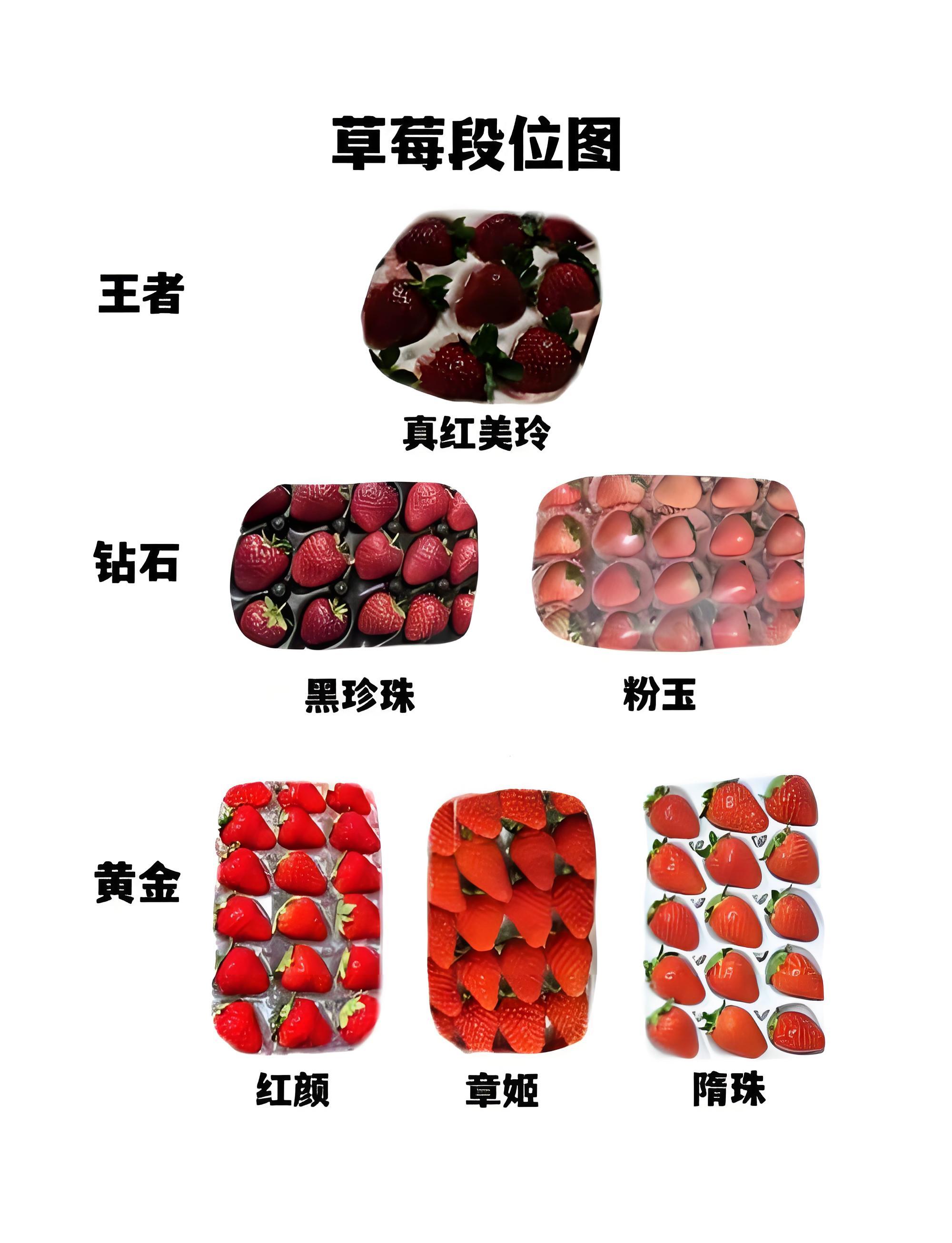 10元一斤草莓和300元一斤草莓区别 车厘子降价，黑草莓却卖 300 + 一斤？
