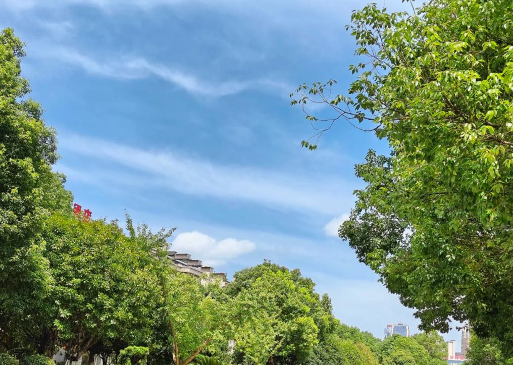 藏獒闯院逼娃，宝妈抱娃狂奔避险
亲爱的朋友们大家好，我是海林小百科，今天我们来看