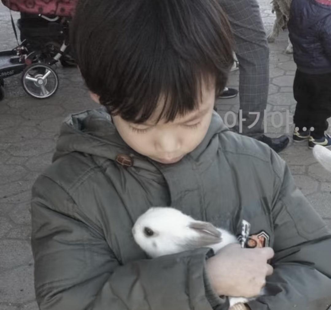 维辰把幸福围成 