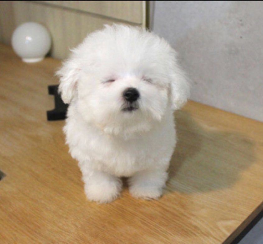 真的要睡觉了😪晚安😴 