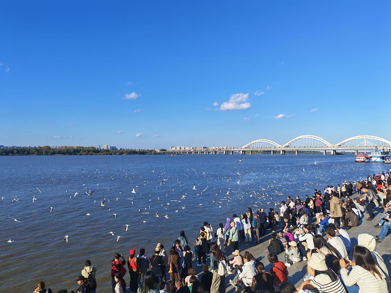 我近期创作的内容被官方加热啦！👍你也快来发布一条吧！带记录真实生活话题，更容易