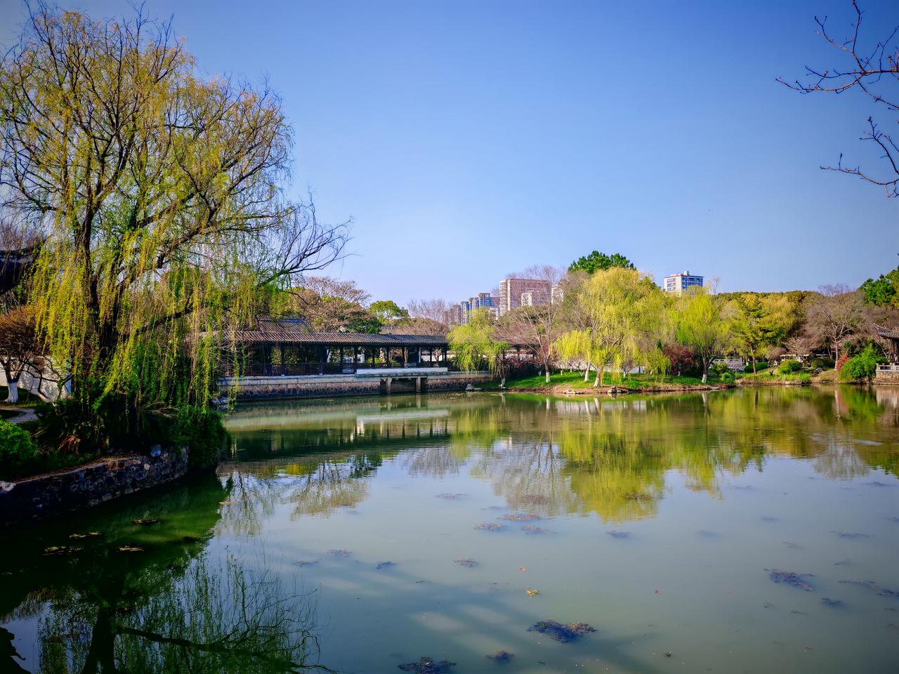 春日生活打卡季