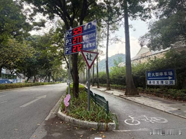 把实事办到百姓心坎上⑥ | 人大代表建言见效！龙潭路出行顺畅多了