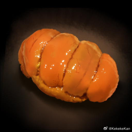 画了海胆手握！ 