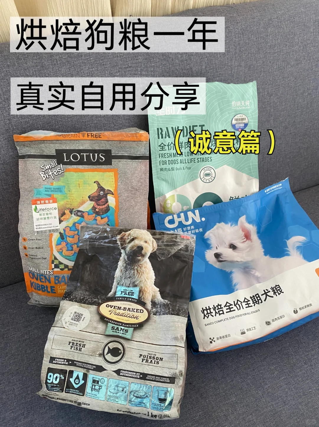 说说烘焙粮喂养一年我的养狗感受|狗粮推荐