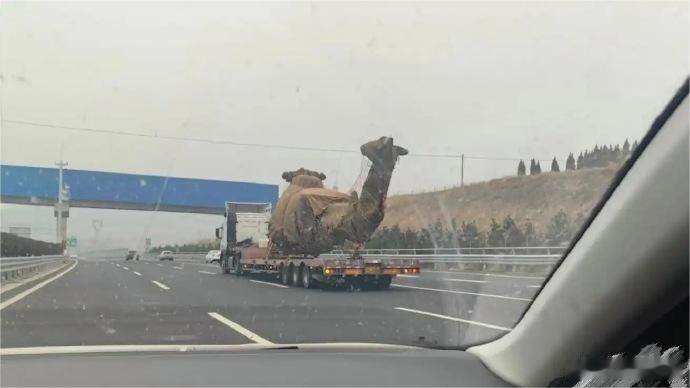 这又是哪位少爷的大玩具到了？  