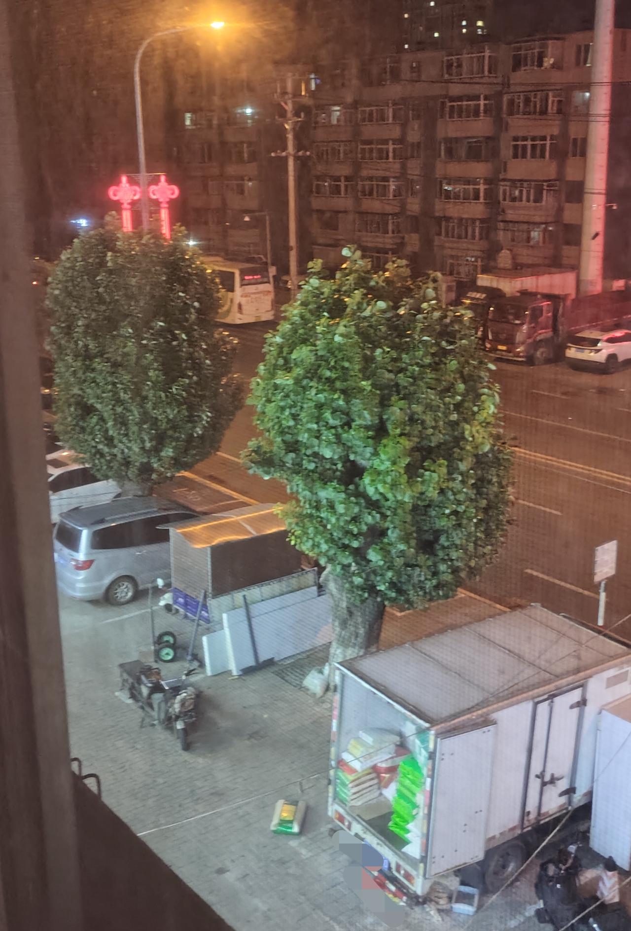 昨晚无意中拍到了窗外两棵大树，忽然觉得似曾相识，不就是电影《牛来》里简陋的模型树