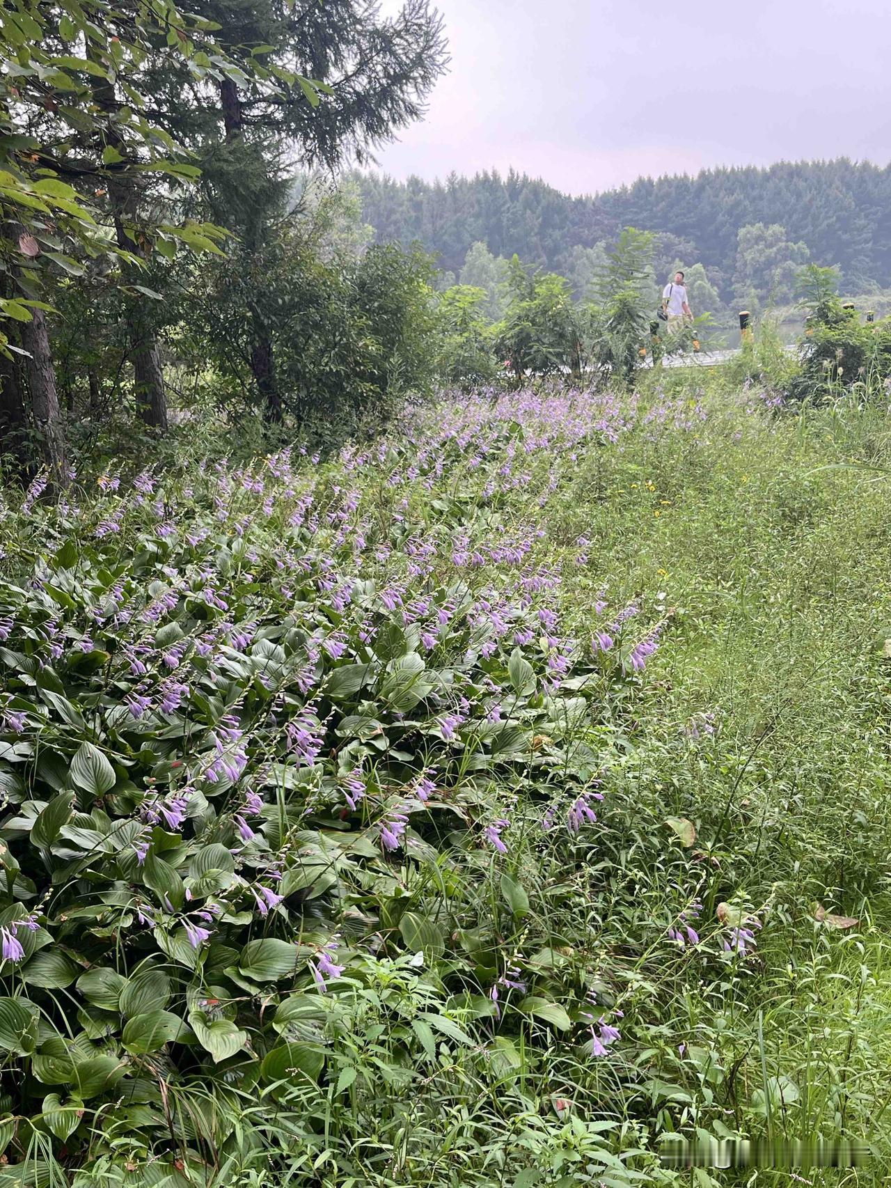 蔡澜说：“尽量地学习，尽量地经历，尽量地旅游，尽量地吃好东西，人生就比较美好一点