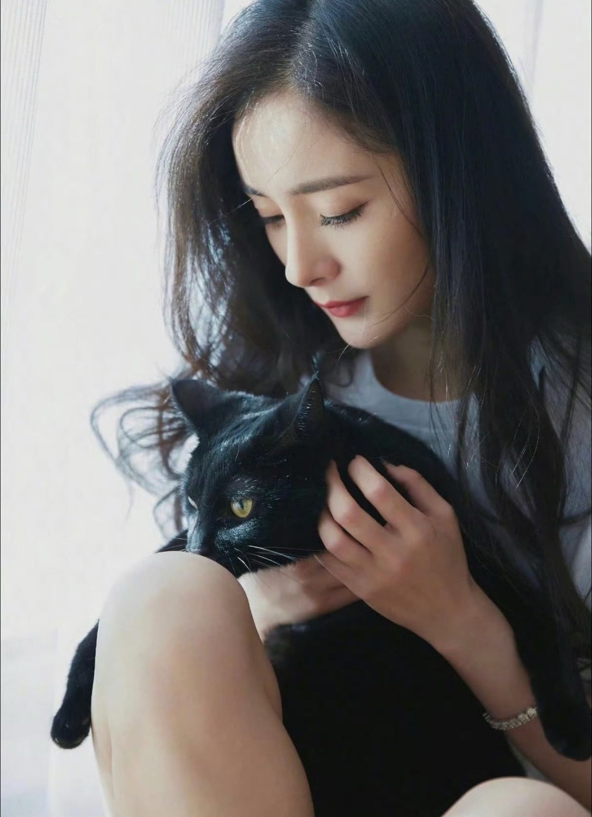 杨幂 爱猫女明星时候杨幂杨幂杨幂