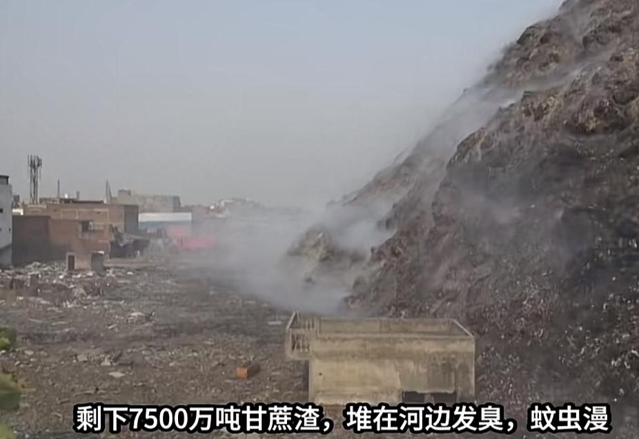 印度每年榨糖产生7500万吨甘蔗渣，却全部扔在河边发臭，而我国却把甘蔗渣变废为宝