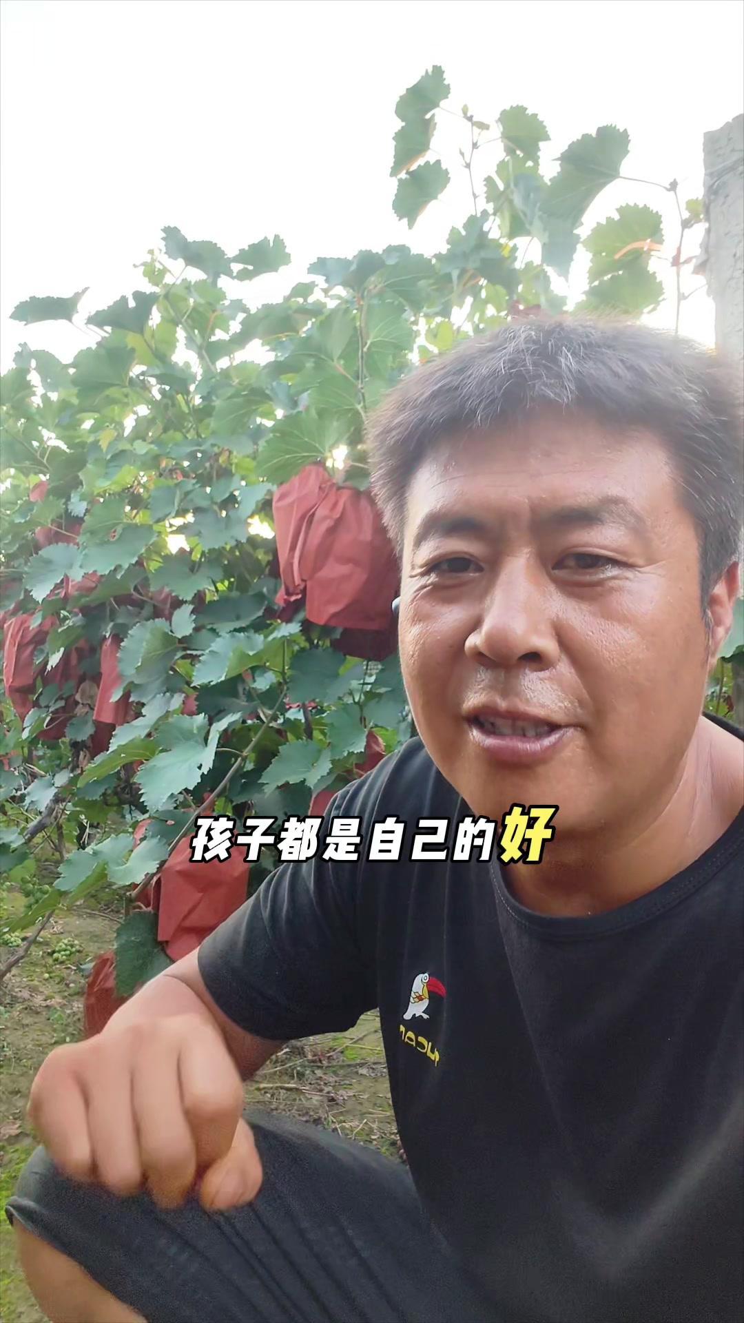 🍇葡萄一旦出现干轴，软果，一定要抓紧施肥，否则后期会很严重！

1️⃣孩子都是