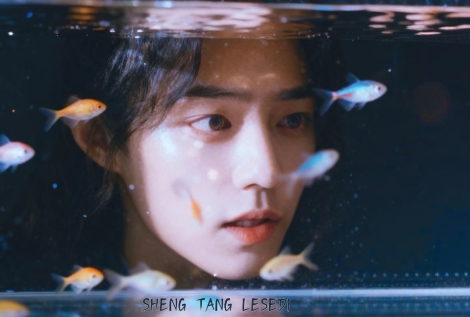 ━━━━❥ღ❤️ღ♡ℒℴvℯ♡x.动图的三哥，在泡面头赛道无人能敌肖战斗罗大陆 