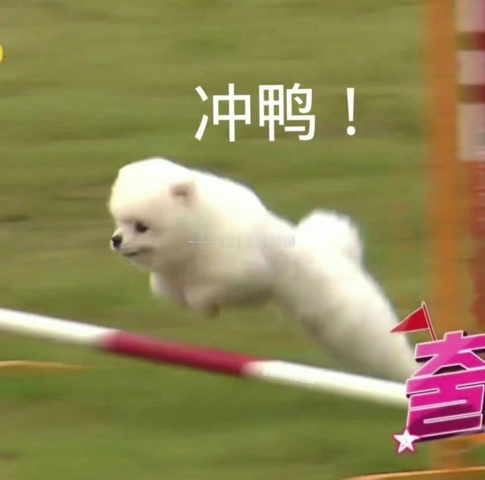 打开京·东搜索🔍：红包到手614说不定你会回来感谢我的[doge] ​​​