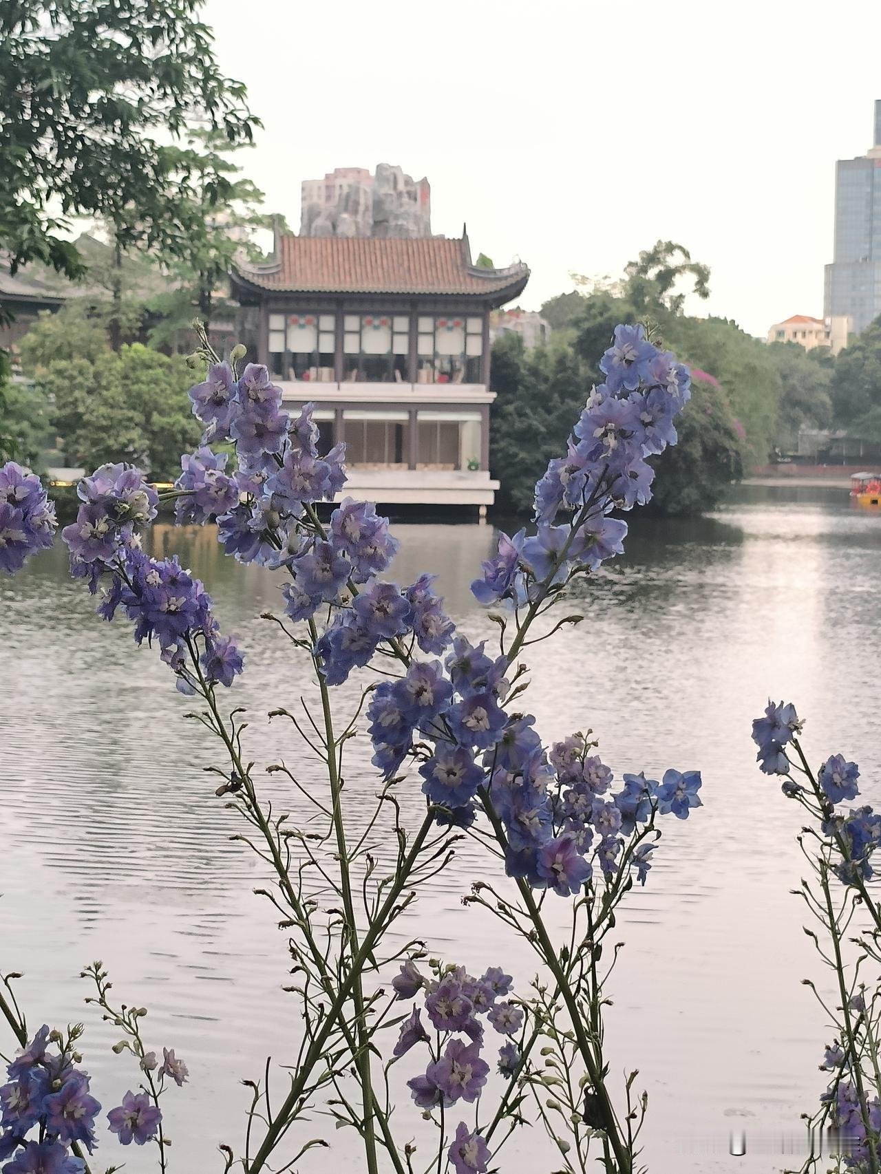 一个浑水摸鱼的时代

一个被引导成人心惶惶超级不稳定不安全的时代，越能够爆发出“